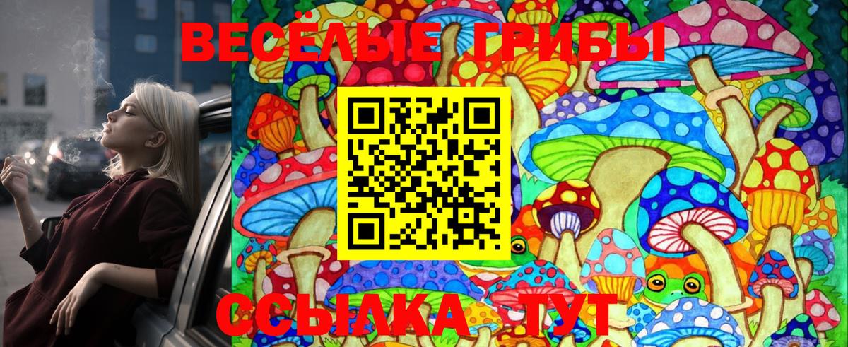 Галлюциногенные грибы Cubensis  Вход с VPN  Калач-на-Дону 